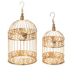 Bird Cage, Gold