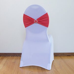 Chair Band- Coral