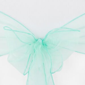 Chair Sash, Organza- Aqua
