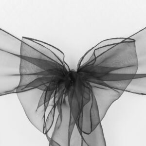 Chair Sash, Organza- Black