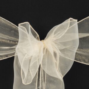 Chair Sash, Organza- Champagne