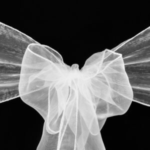 Chair Sash, Organza- White