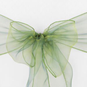 Chair Sash, Organza- Willow