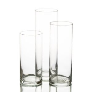 Glass Vases/Cylinder