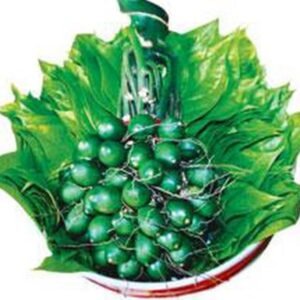Plastic Betel & Areca (Trầu Cau)